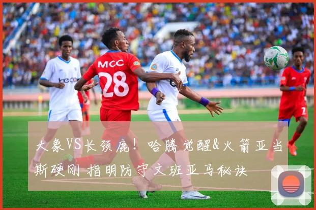 大象VS长颈鹿！哈腾觉醒&火箭亚当斯硬刚 指明防守文班亚马秘诀